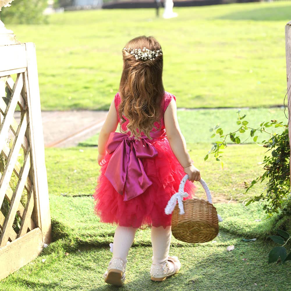 Cilucu Girls Tutu Dress for Toddlers - Vintage Princess Tulle Flower Girl Dress with V Back Bow - Perfect for Birthday Parties, Pageants & Special Occasions