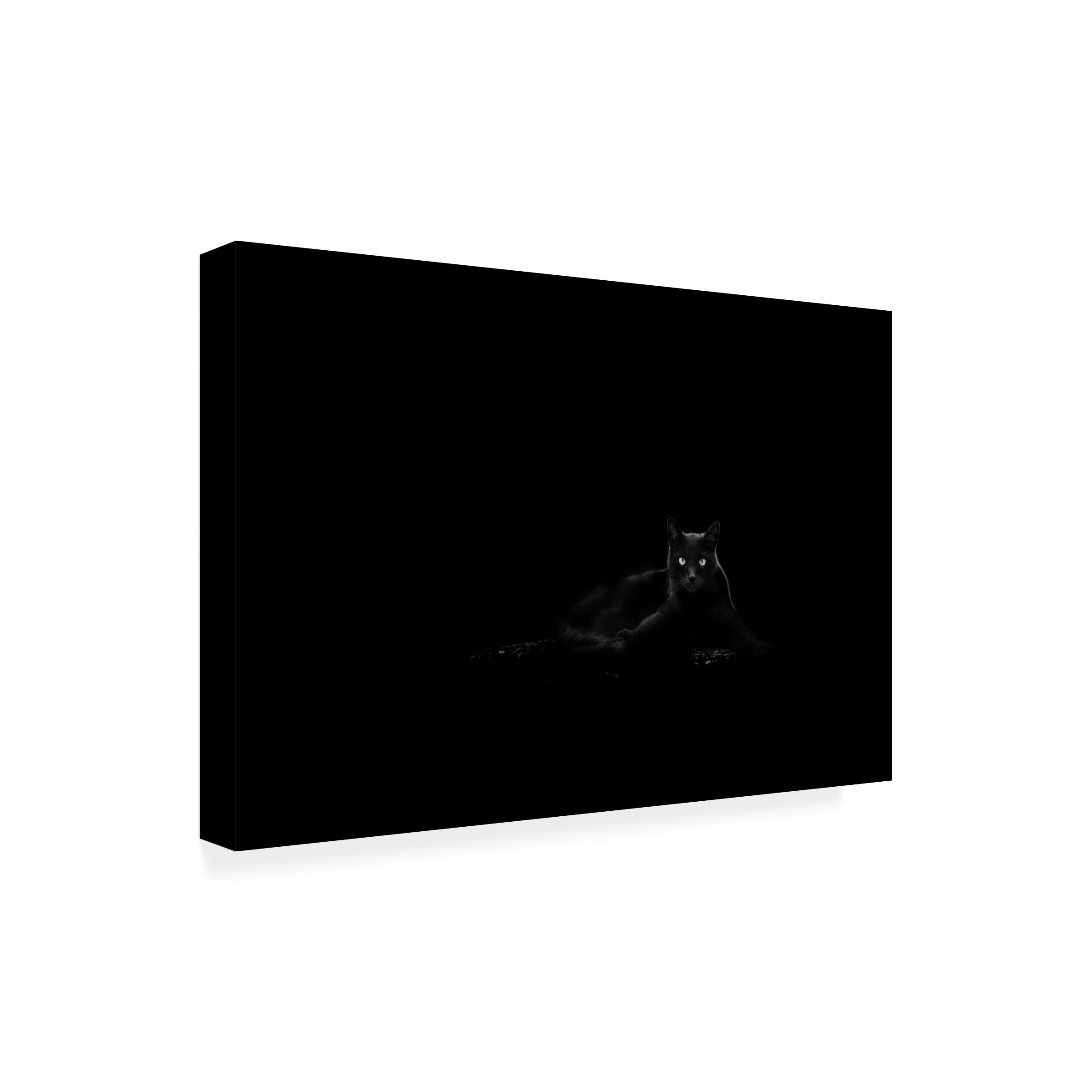 Dusan Ljubicic 'Cat' Canvas Art Print - Modern Wall Decor for Living Room, Bedroom & Office - Trademark Fine Art Collection