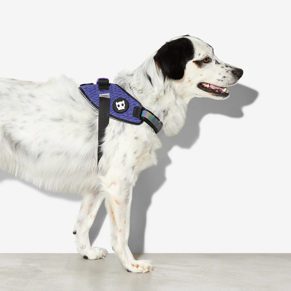 Wicked FlyHarness Zee.Dog Dog Harness - Adjustable & Breathable Pet Vest for Small, Medium & Large Dogs - Perfect for Walking, Running & Outdoor Adventures