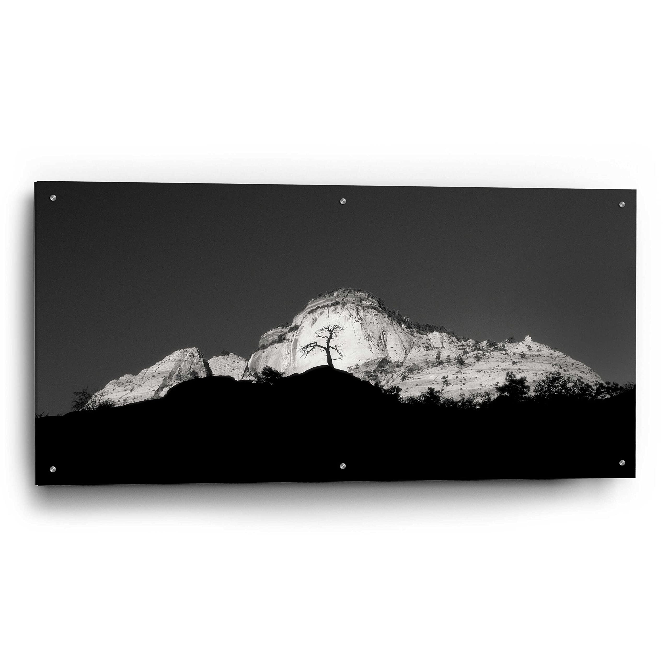 Zion Tree Silhouette Wall Art by Thomas Haney - 48x24 Inch Acrylic Glass Canvas Print - Modern Landscape Painting for Living Room, Bedroom & Office Decor
