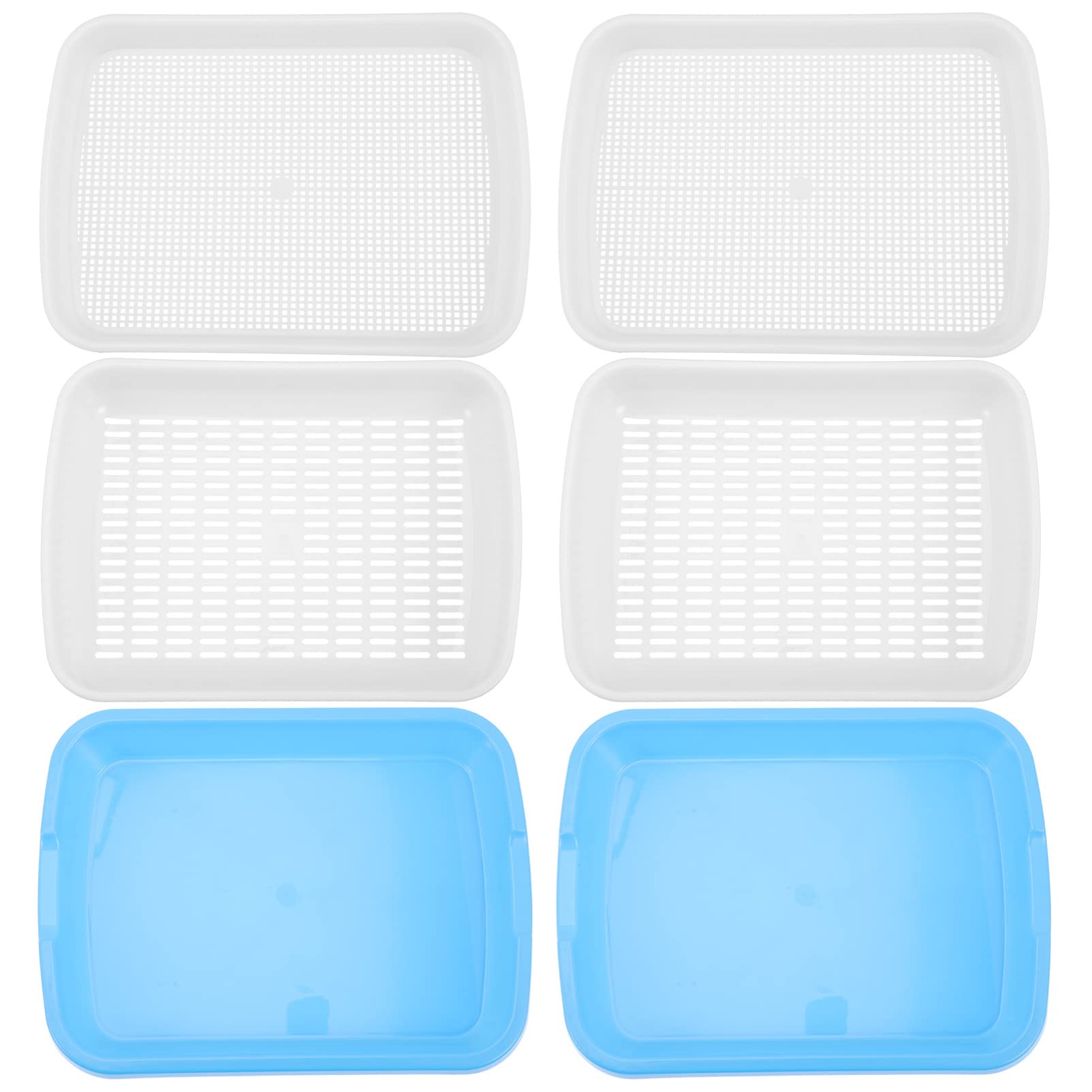 Organic Wheatgrass Sprouting Kit - 1 Set Mini Hydroponic Propagator Tray with Plastic Clamshell for Seed Germination | Indoor Gardening, Microgreens Growing, Healthy Salad & Juice Making