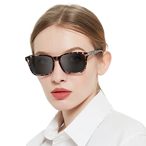 Grey Leopard(sun Readers)