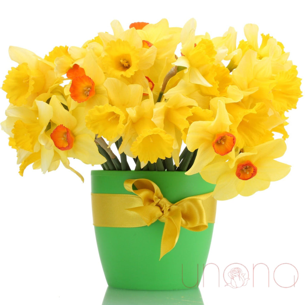 Fresh Cut Daffodil Bouquet - Bright Yellow Spring Flowers for Home Decor, Wedding Centerpieces & Gift Giving