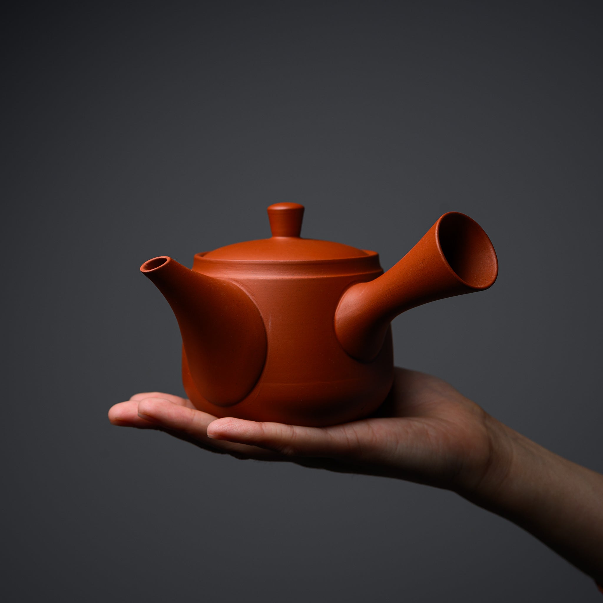 Premium JINSUI Tokoname Ware Red Clay Teapot - 390ml Japanese Kyusu for Green Tea, Perfect for Traditional Tea Ceremonies & Daily Brewing