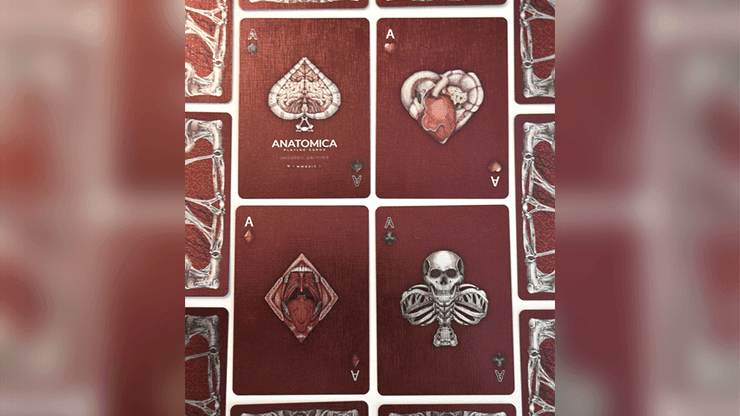 Premium Alterna Playing Cards - High-Quality Poker & Card Games Deck for Magic Tricks, Poker Nights & Family Game Nights