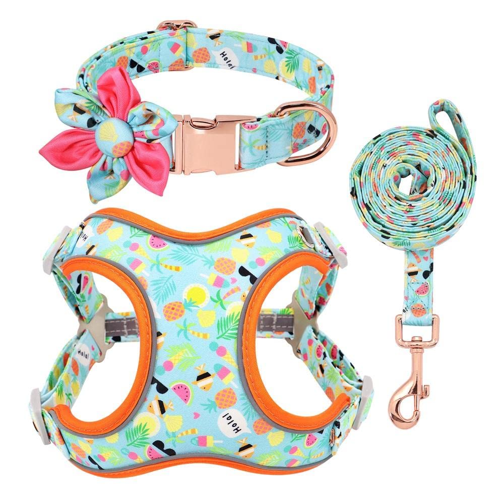 Premium Dog Harness and Leash Set - Adjustable Reflective Pet Collar with Soft Padded Vest for Medium & Large Dogs - Perfect for Walking, Hiking & Outdoor Adventures