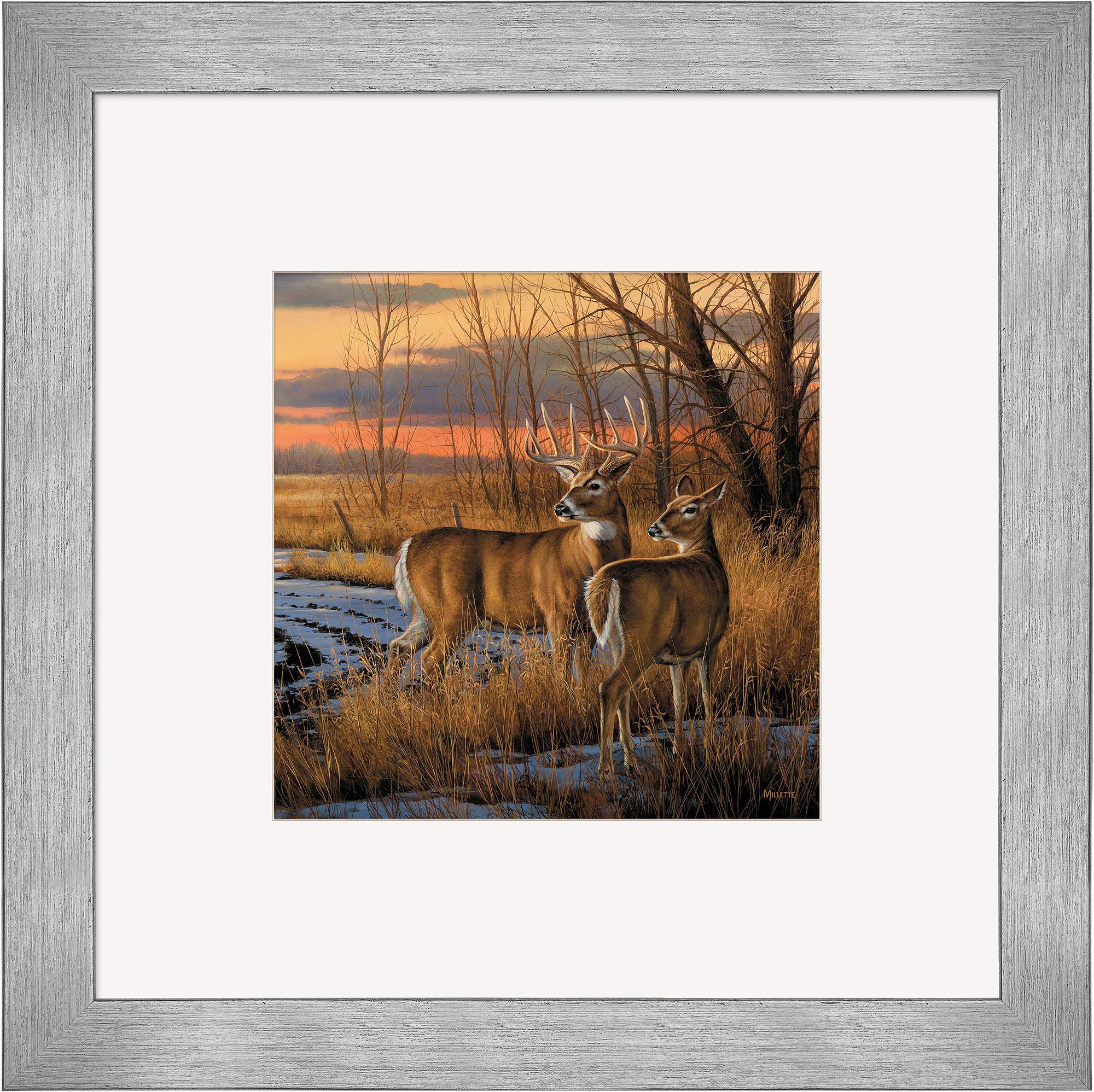 Daybreak Whitetail Deer Hunting Gear & Accessories – Premium Equipment for Whitetail Deer Hunting | Ideal for Outdoor Adventures and Wildlife Photography