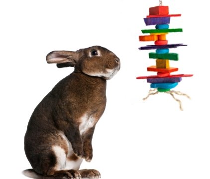 Medium Crazy Color Rabbit Chew Toy for Small Pets - Durable Bunny Chewing Toy for Teeth Care, Fun Playtime for Rabbits, Guinea Pigs & Hamsters - Perfect for Cage Enrichment & Stress Relief