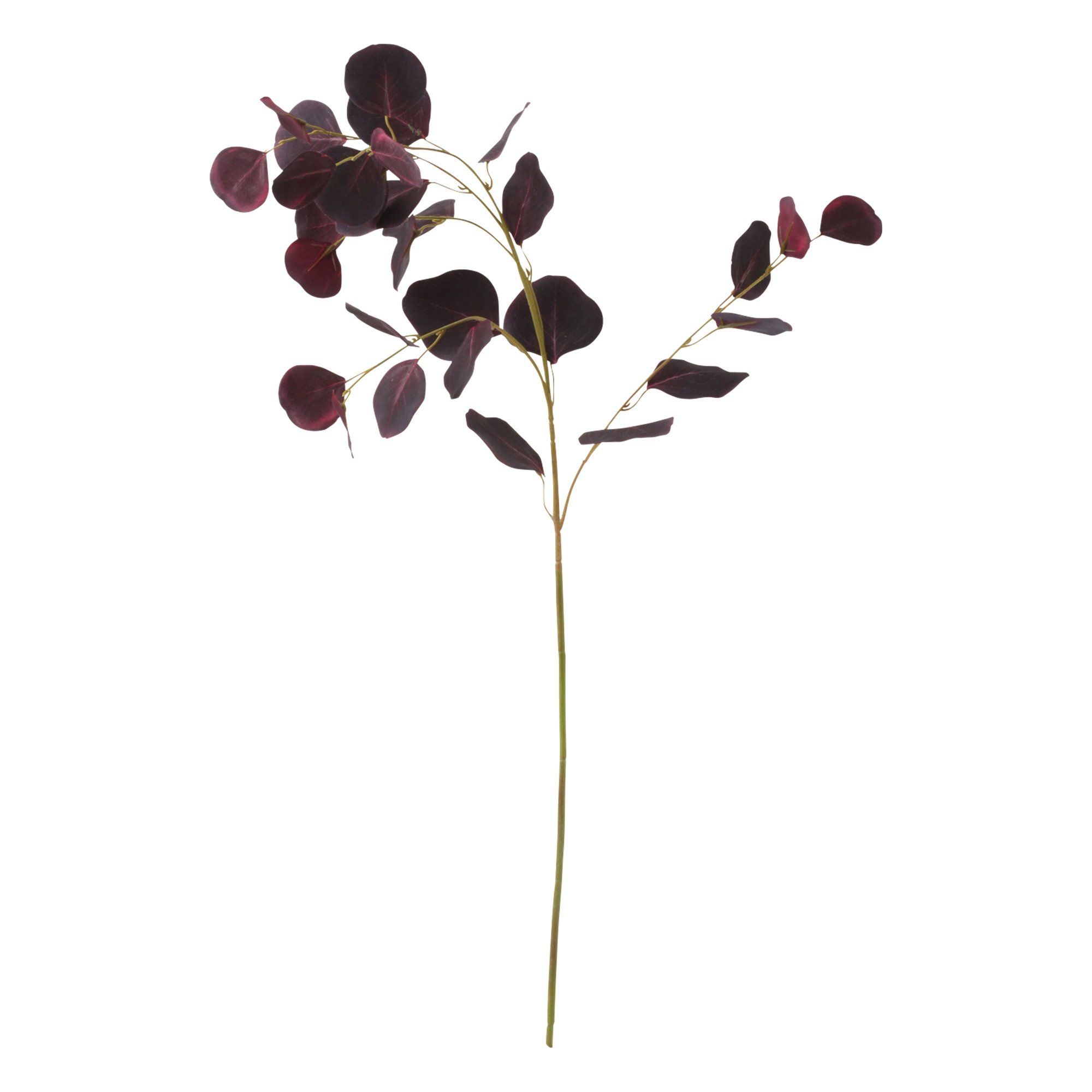 Art Green Polyanthemos Eucalyptus Leaves - Fresh Floral Decor for Home, Wedding, and DIY Crafts | Bulk Dried Flowers for Centerpieces and Bouquets