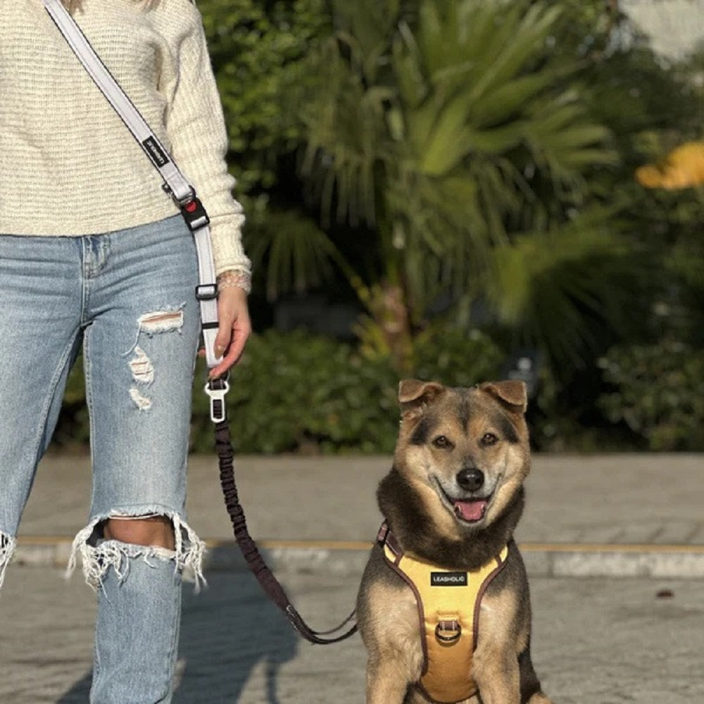 6 in 1 Hands-Free Dog Leash - Adjustable Waist Leash, No Pull Training Lead, Reflective & Durable for Walking, Running, Hiking - Perfect for Active Pet Owners & Outdoor Adventures