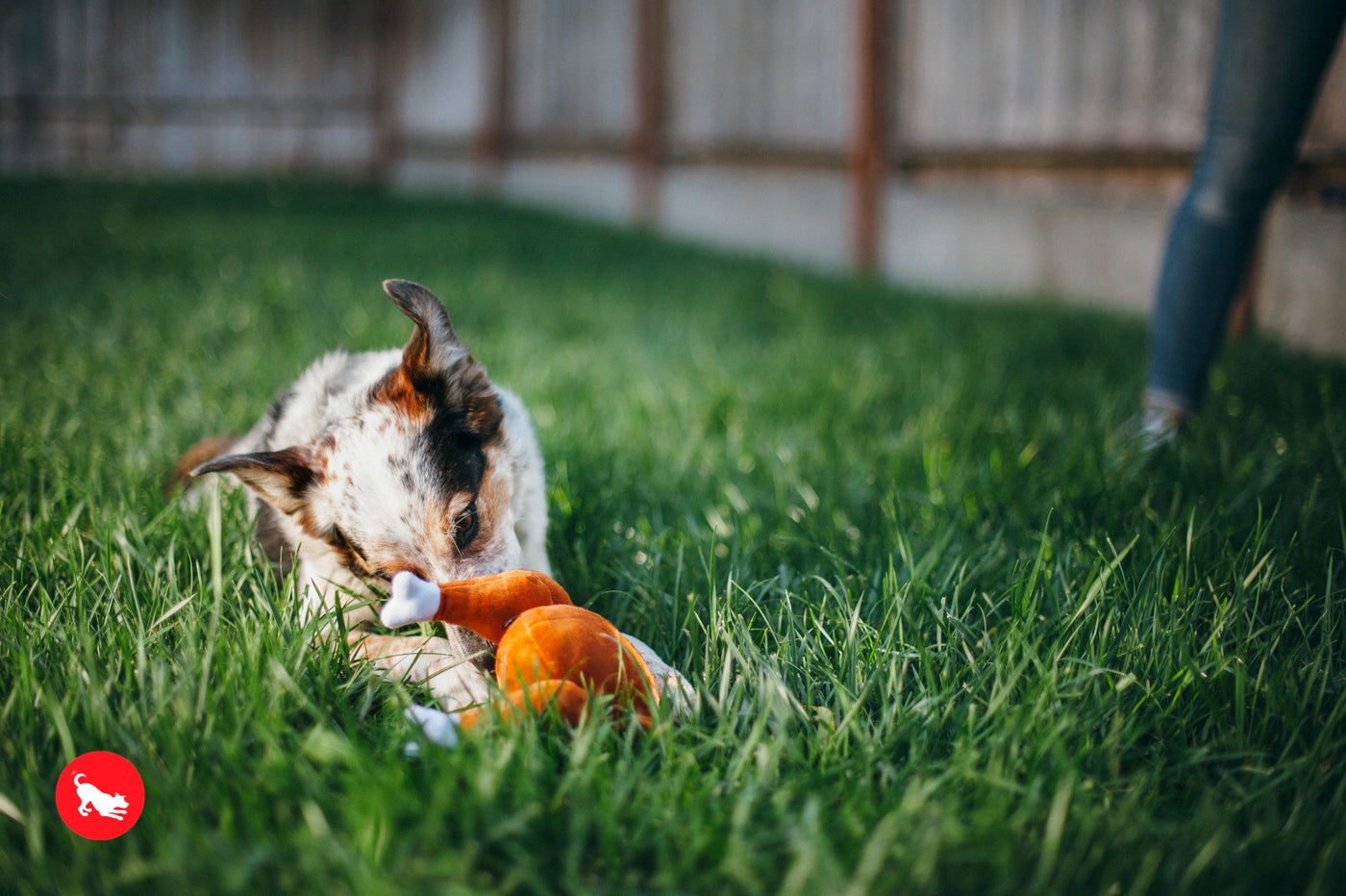 El Pavo Entero Holiday Classic™ Dog Plush Toy - Soft & Durable Chew Toy for Small & Large Dogs | Perfect for Thanksgiving, Christmas & Playtime Fun | Pet P.L.A.Y.