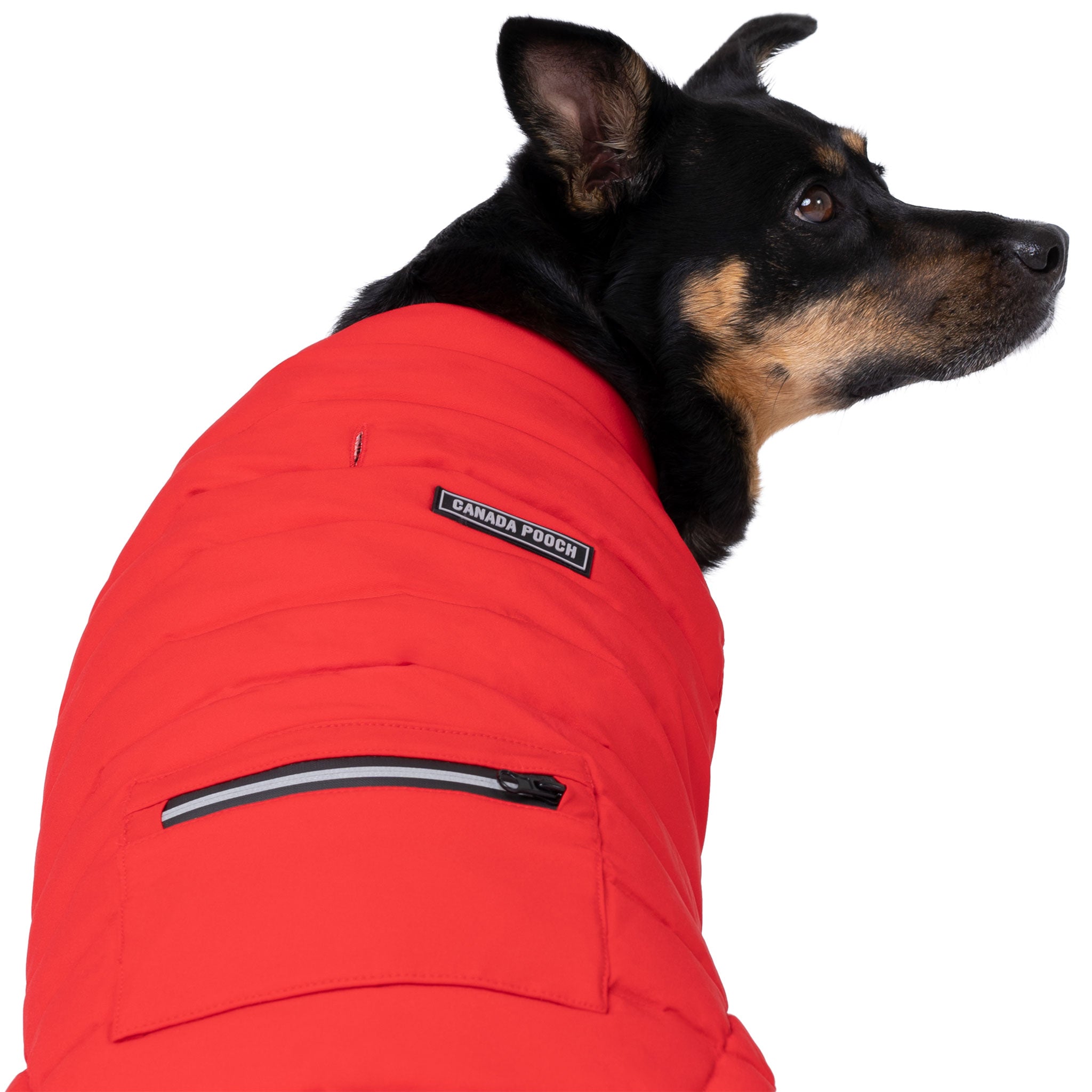 Canada Pooch Ultimate Stretch Dog Vest - Adjustable Reflective Safety Harness for Small Medium Large Dogs - Perfect for Night Walks, Hiking & Outdoor Adventures (Red)