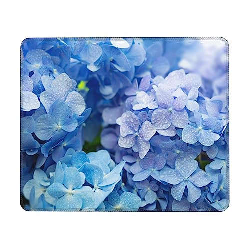 Blue Hydrangeas