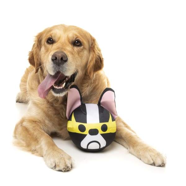 Fuzzyard Doggoforce Dash Interactive Dog Toy - Durable Chew Toy for Aggressive Chewers, Fun Fetch & Tug of War Play - Perfect for Indoor & Outdoor Use