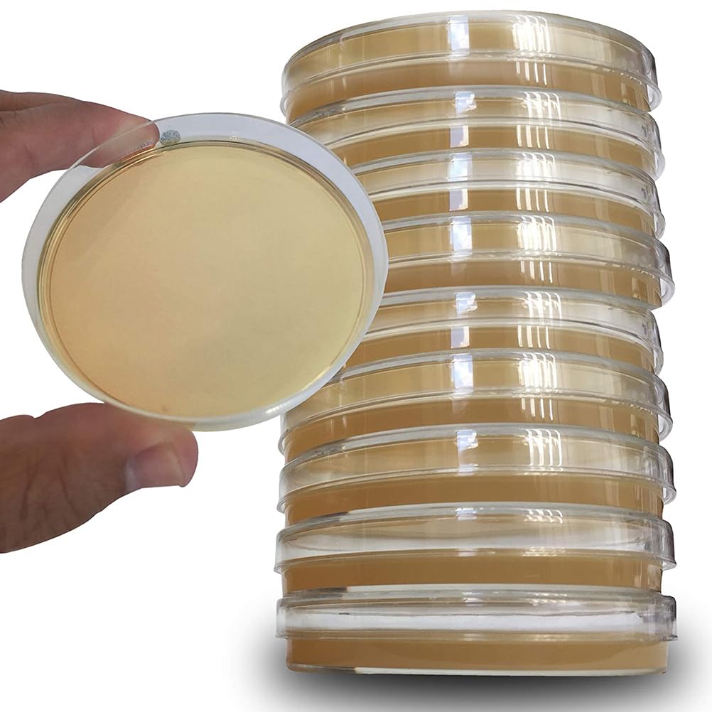 10-Pack 100mm x 30mm Plastic Petri Dishes with Nutrient Agar - Sterile Lab-Grade Petri Plates for Science Projects, Microbiology Cultures & Laboratory Sample Analysis - Ideal for School Labs, Home Science Experiments & Research Studies