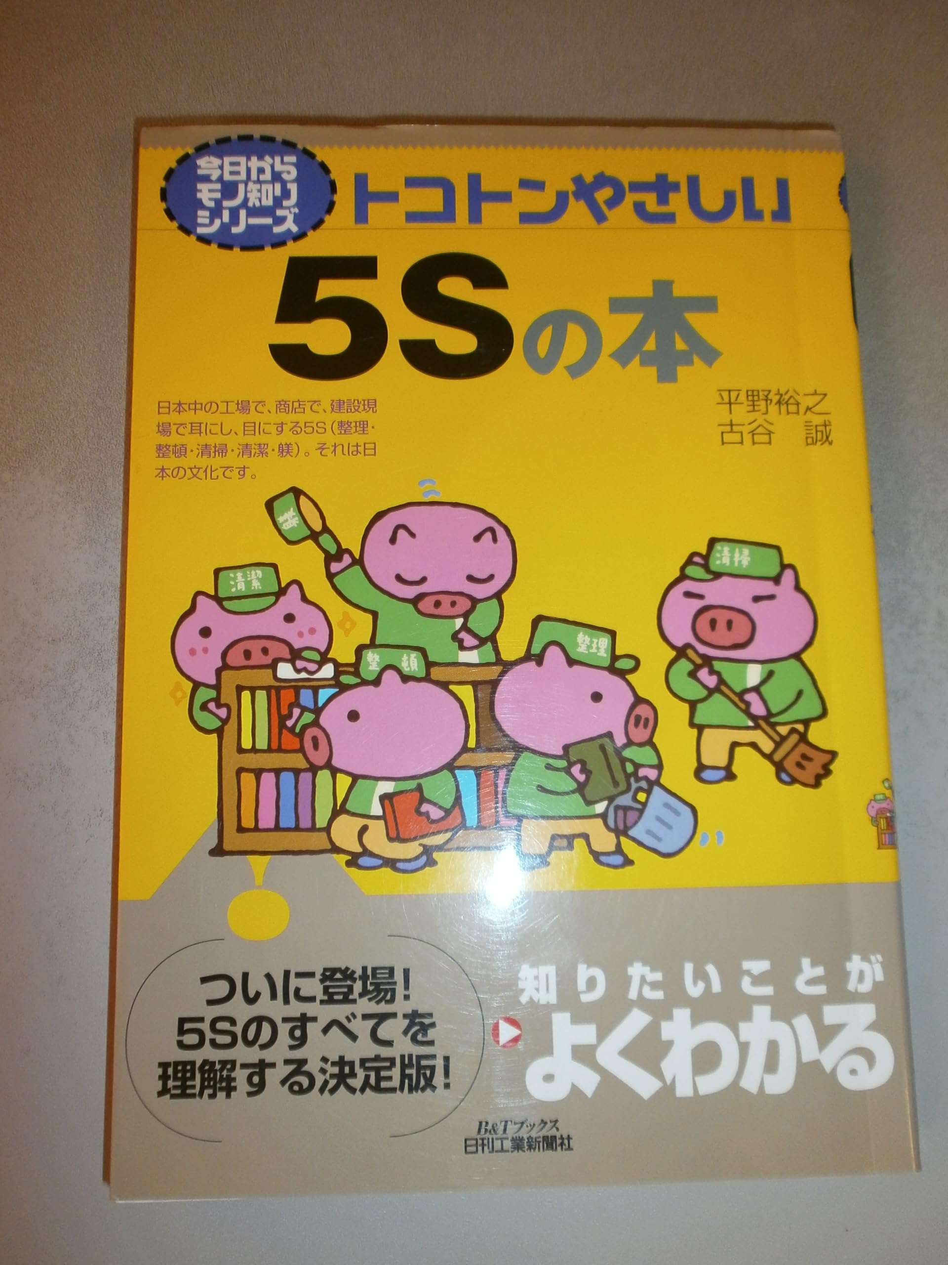 Tokoton Yasashii Go Esu No Hon - Easy Japanese Language Learning Book for Beginners | Perfect for Self-Study, Travel & Classroom Use