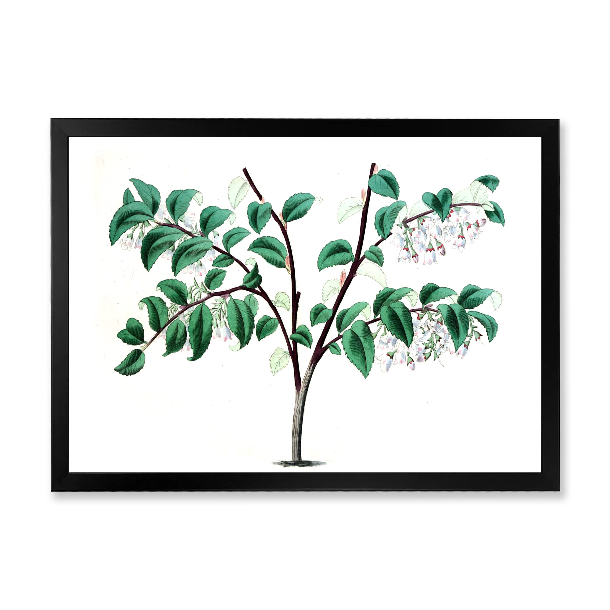 Vintage Green Leaves Plants Framed Wall Art - Traditional Botanical Home Decor for Living Room, Bedroom & Office