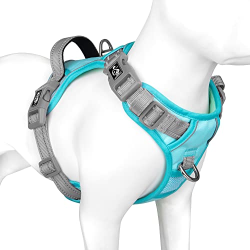 Mint Green Base & Grey Straps