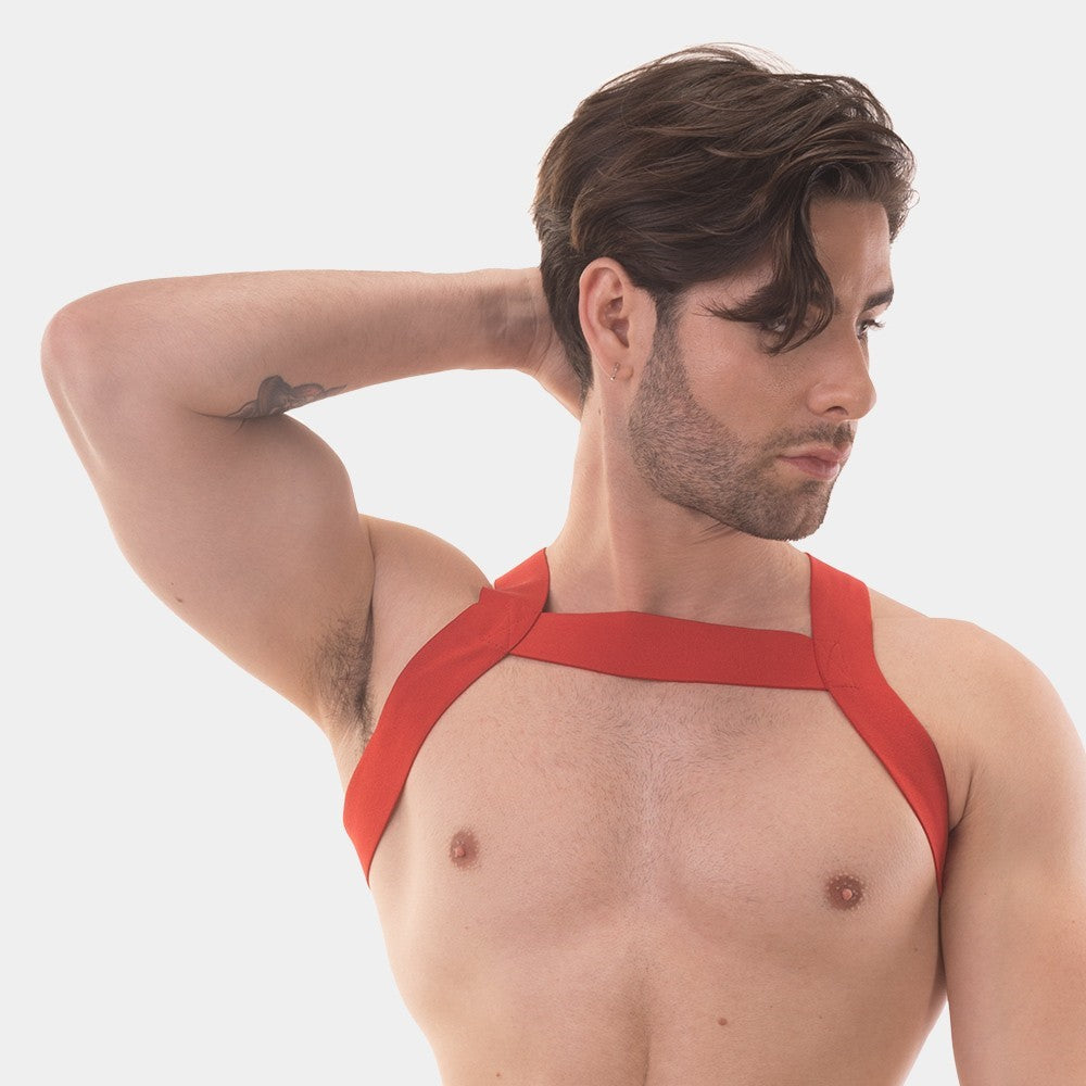 Barcode Berlin Matt Harness Red - Durable Dog Harness for Small & Medium Dogs - Perfect for Walking, Running & Outdoor Adventures