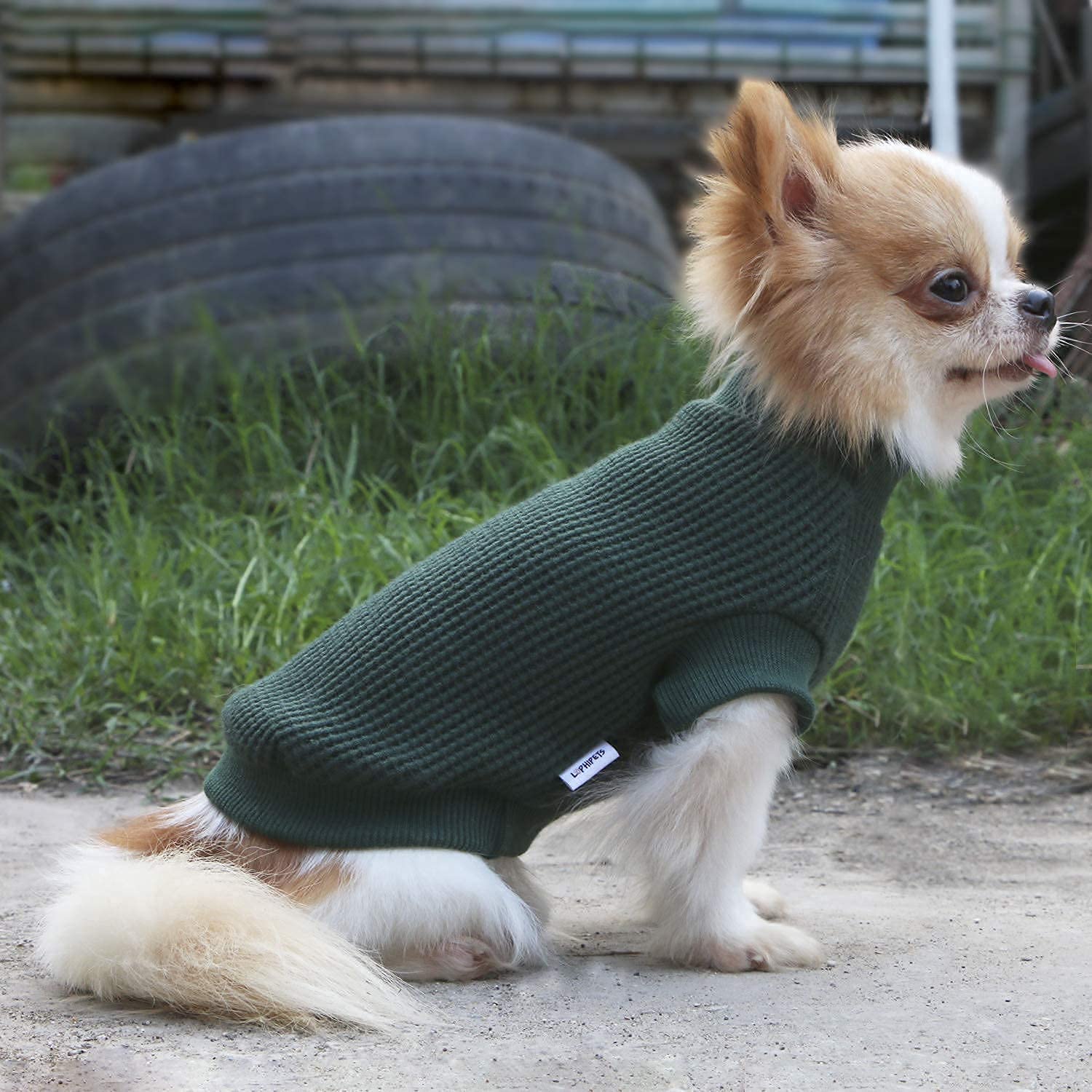 LOPHIPETS Lightweight Dog Sweaters for Small Dogs - Puppy Chihuahua Yorkie Clothes, Soft & Comfortable Pet Apparel in Atrovirens Green, Size XL - Perfect for Winter Walks & Indoor Coziness