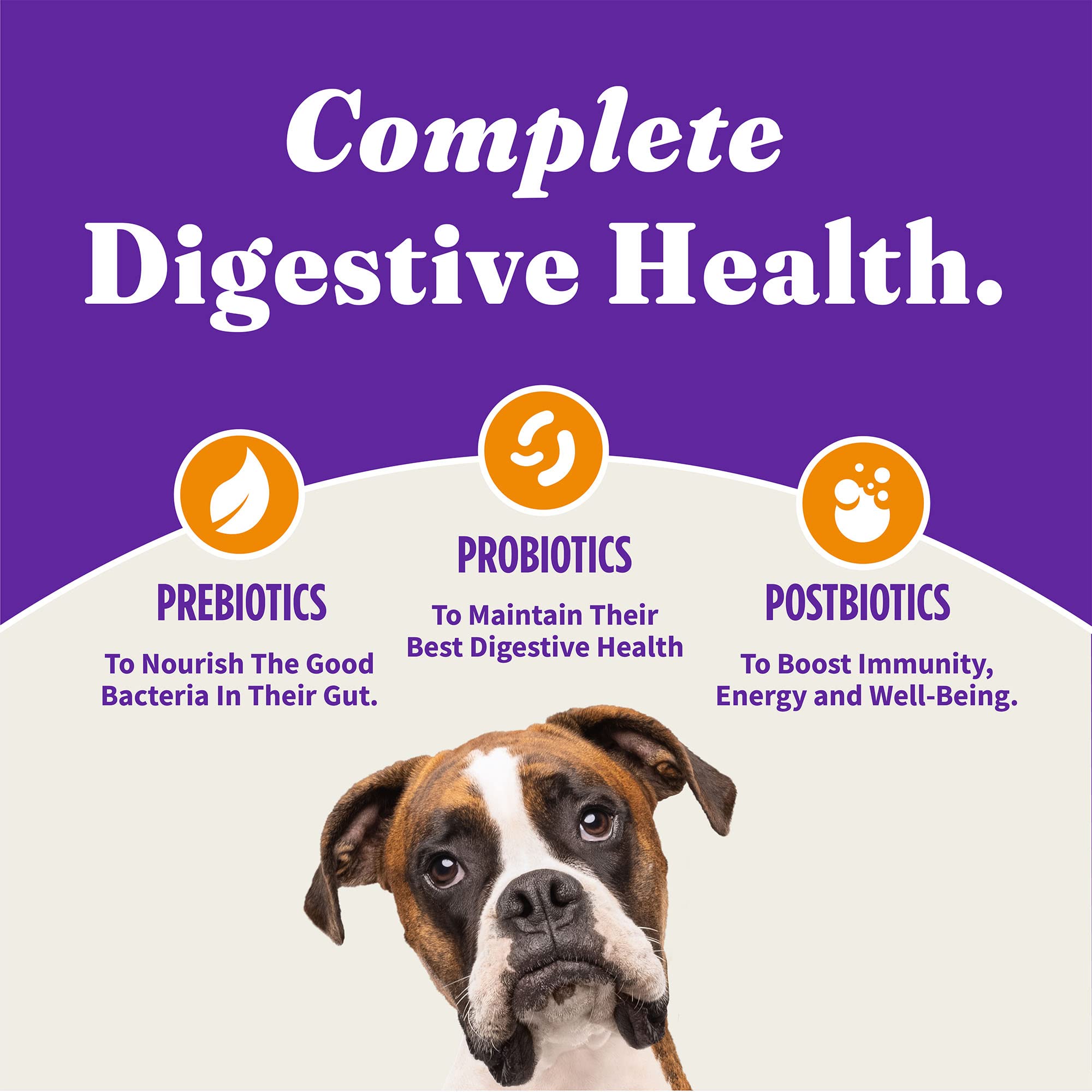 Halo Holistic Cage-Free Chicken & Brown Rice Dry Dog Food - Healthy Grain Recipe for Adult Dogs - Supports Complete Digestive Health - 21lb Bag - Perfect for Daily Meals & Sensitive Stomachs