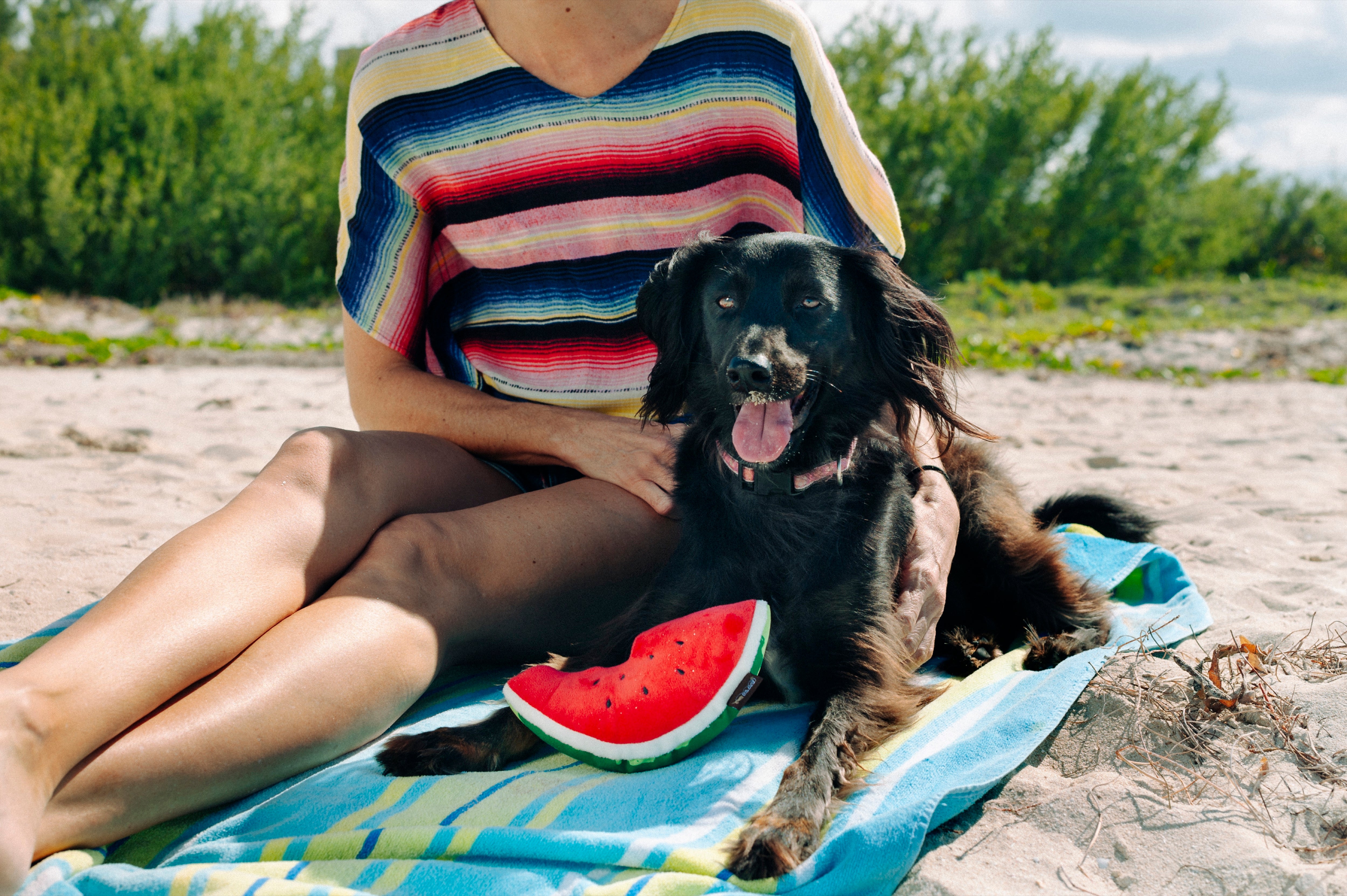 Tropical Paradise™ Watermelon Dog Plush Toy - Durable & Fun Chew Toy for Small & Large Dogs | Perfect for Playtime, Training & Cuddling | Pet P.L.A.Y.