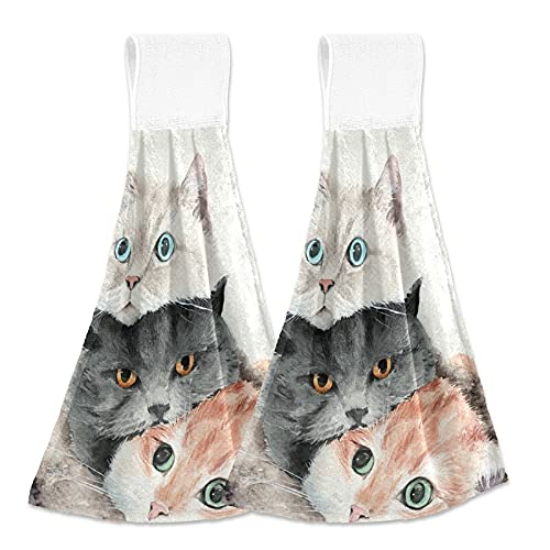 Fluifty Cats