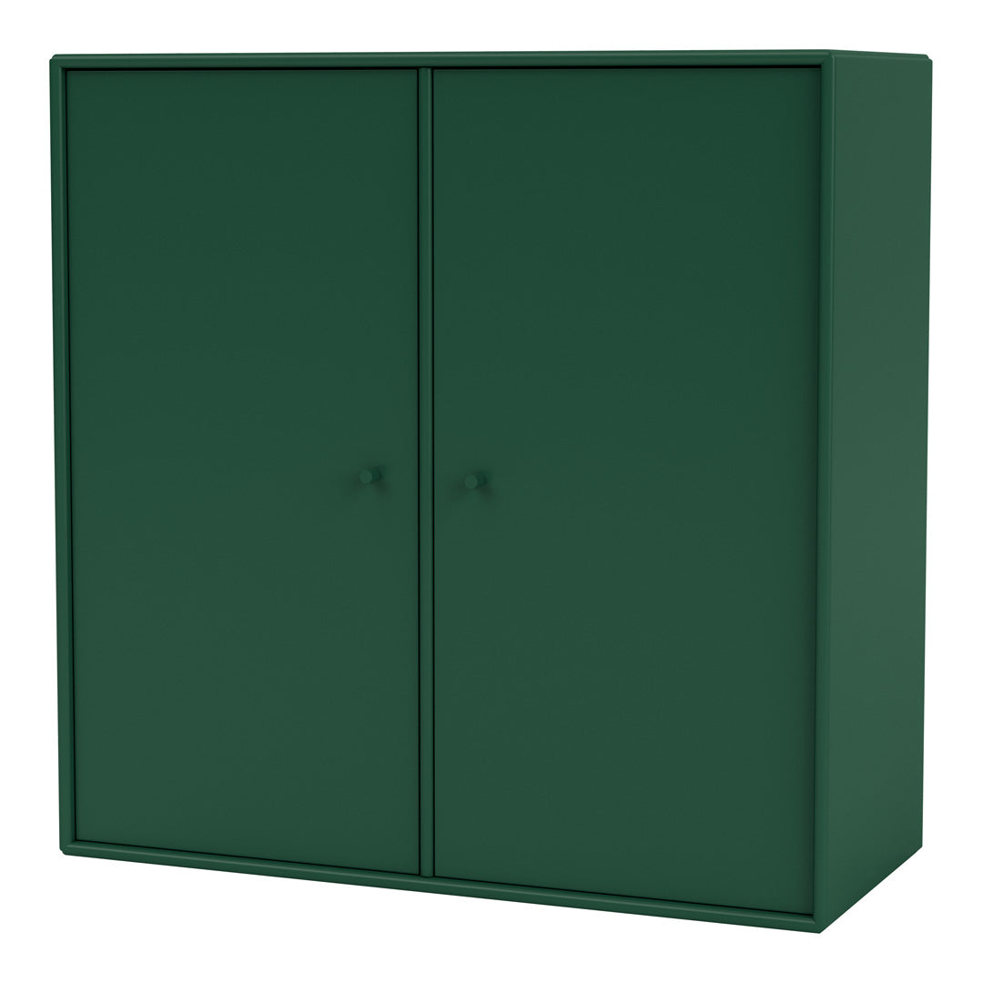 Modern 2-Door Lacquered Cabinet 1118 - Perfect for Living Room Storage & Bedroom Organization