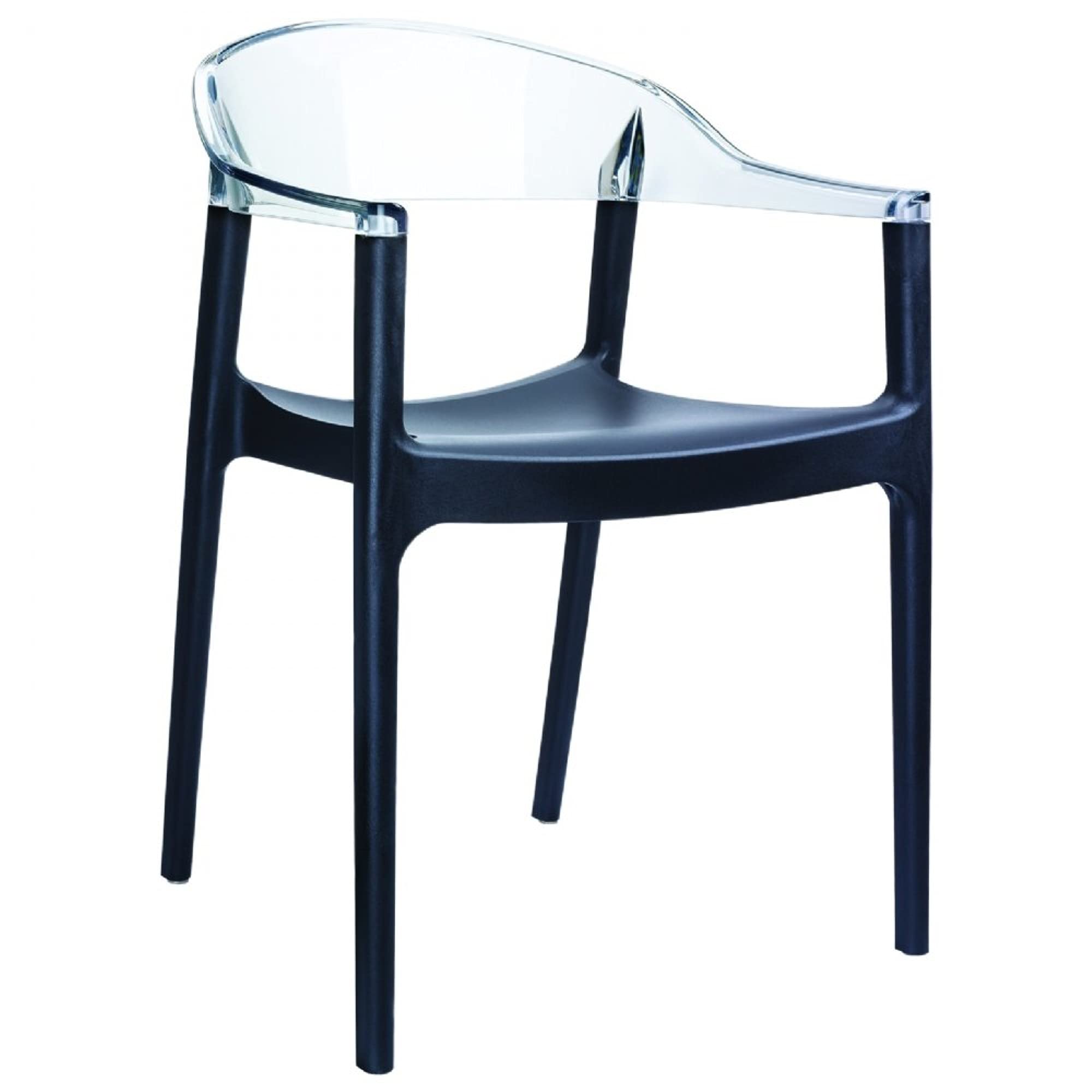 Modern Dining Chairs Set of 2 - Black Seat with Clear Transparent Back - Mid Century Style Kitchen & Dining Room Furniture for Home, Restaurant, Cafe