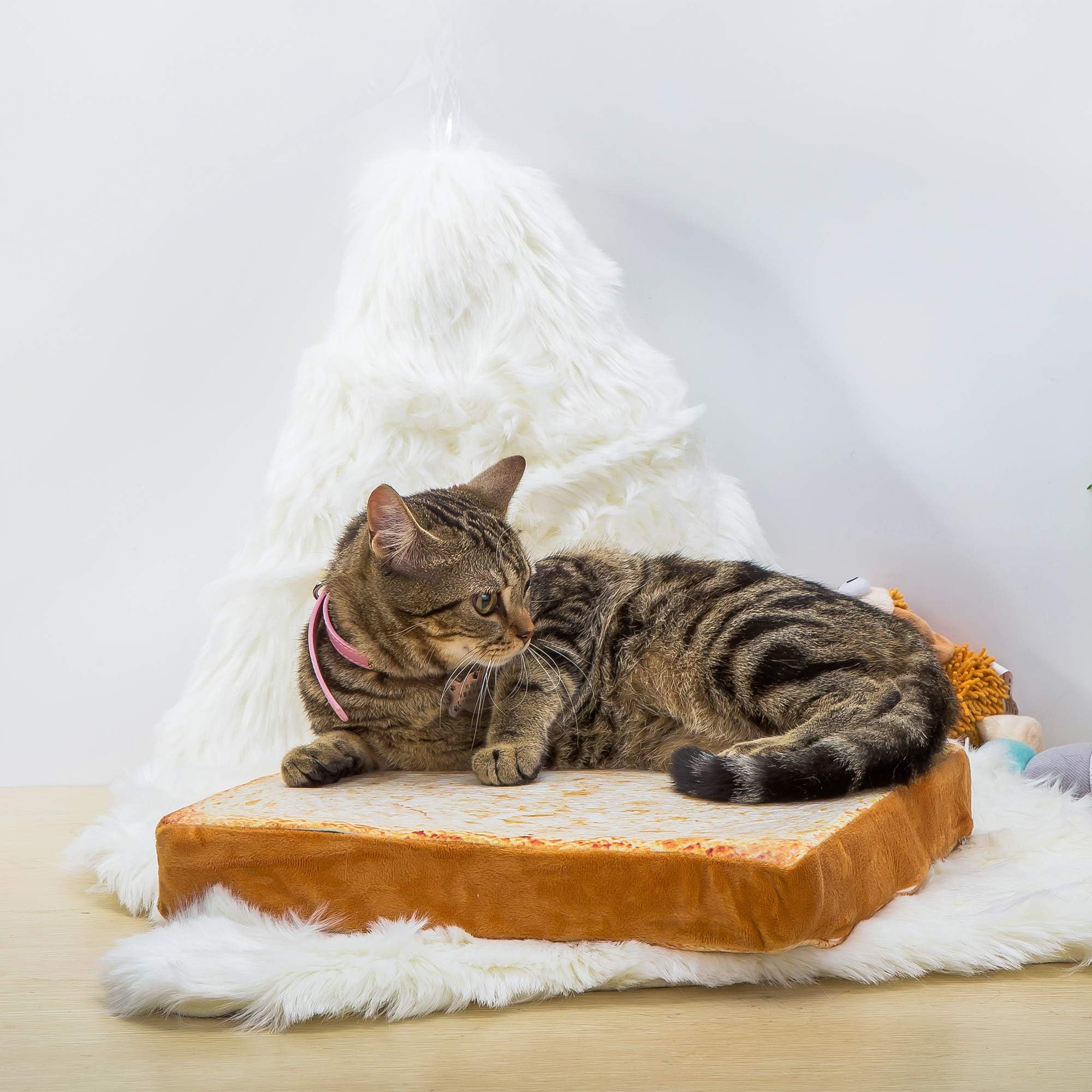Gefryco Cat Beds for Indoor Cats - Soft Pet Mats & Cushion for Cats & Small Dogs - Creative Toast Bread Slice Mattress with Sponge Core - Perfect for Living Room, Bedroom & Pet Napping Areas