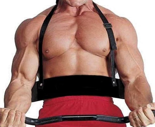 Schiek Arm Blaster - Premium Arm Workout Equipment for Bodybuilding & Strength Training - Perfect for Gym, Home Fitness & Muscle Isolation Exercises