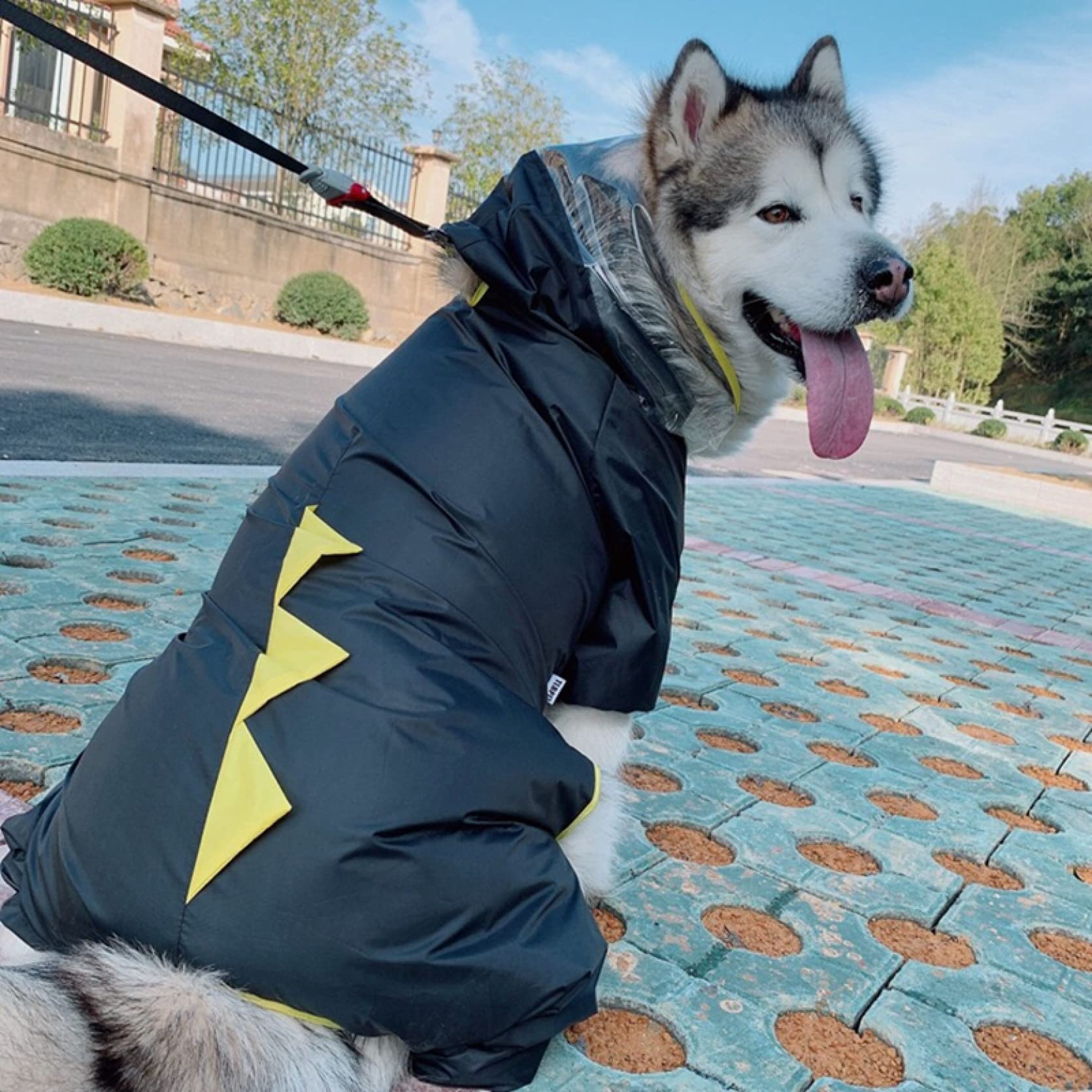 Waterproof Dog Raincoat - Adjustable Poncho Slicker Jacket for Small, Medium & Large Dogs | Outdoor Walking, Hiking & Rainy Day Protection