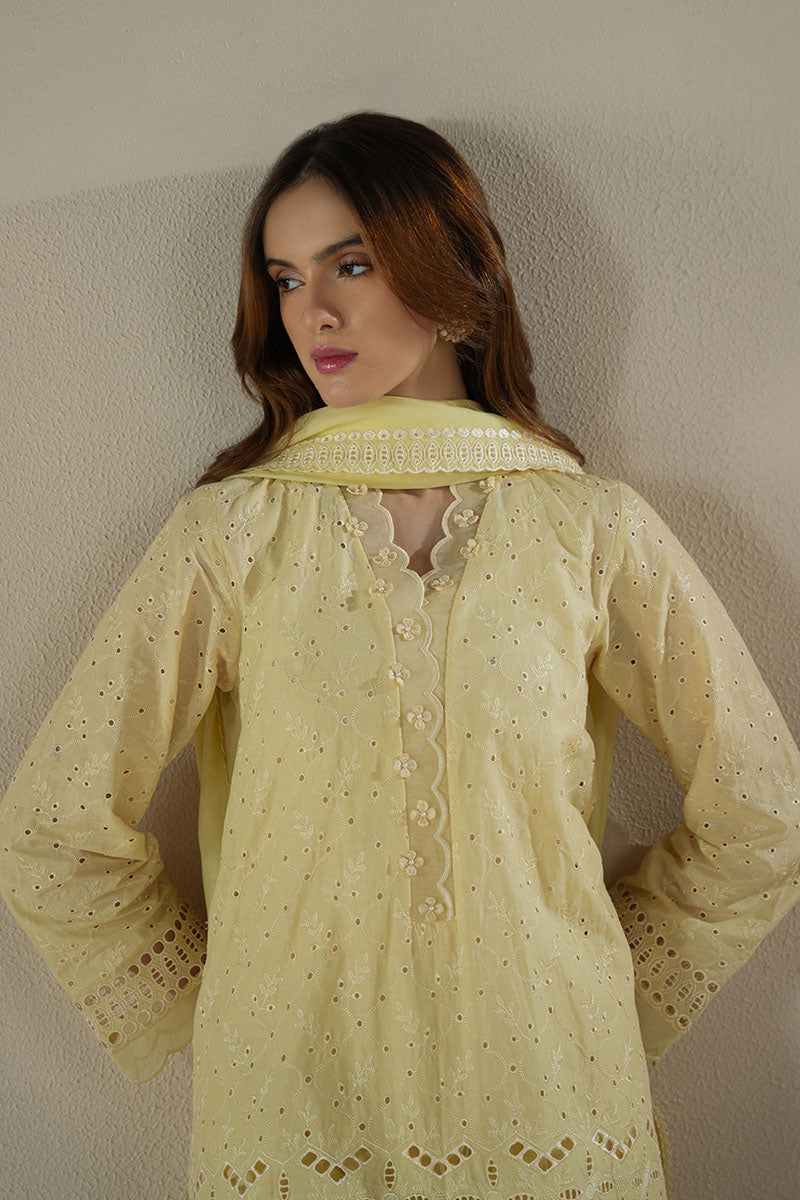 LEMON ZEST 3-Piece Chikankari Suit Set | Traditional Indian Embroidery Outfit | Perfect for Weddings, Festivals & Special Occasions