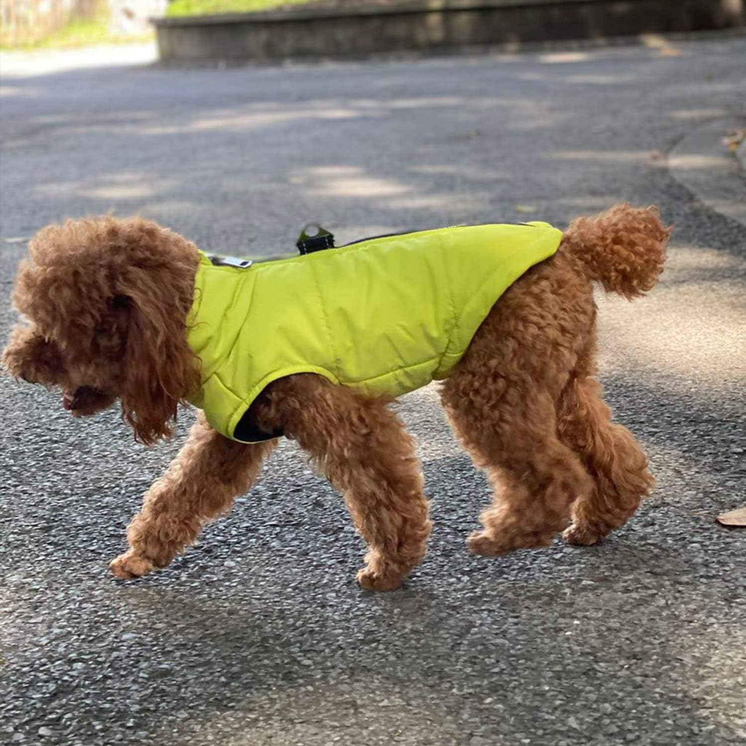 Waterproof Ultra Warm Dog Winter Vest with Cotton Lining - Windproof Zippered Jacket for Small, Medium & Large Dogs | Breathable Soft Dog Coat in Green XXXL | Perfect for Cold Weather Walks & Outdoor Adventures