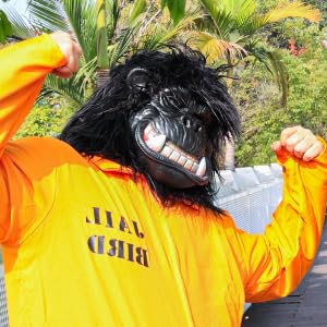 Gorilla Mask Hairy Latex Animal Costume - Realistic Monkey Head Mask for Halloween, Cosplay, Carnival & Themed Parties - Perfect for Costume Events, Role Playing & Fun Gatherings