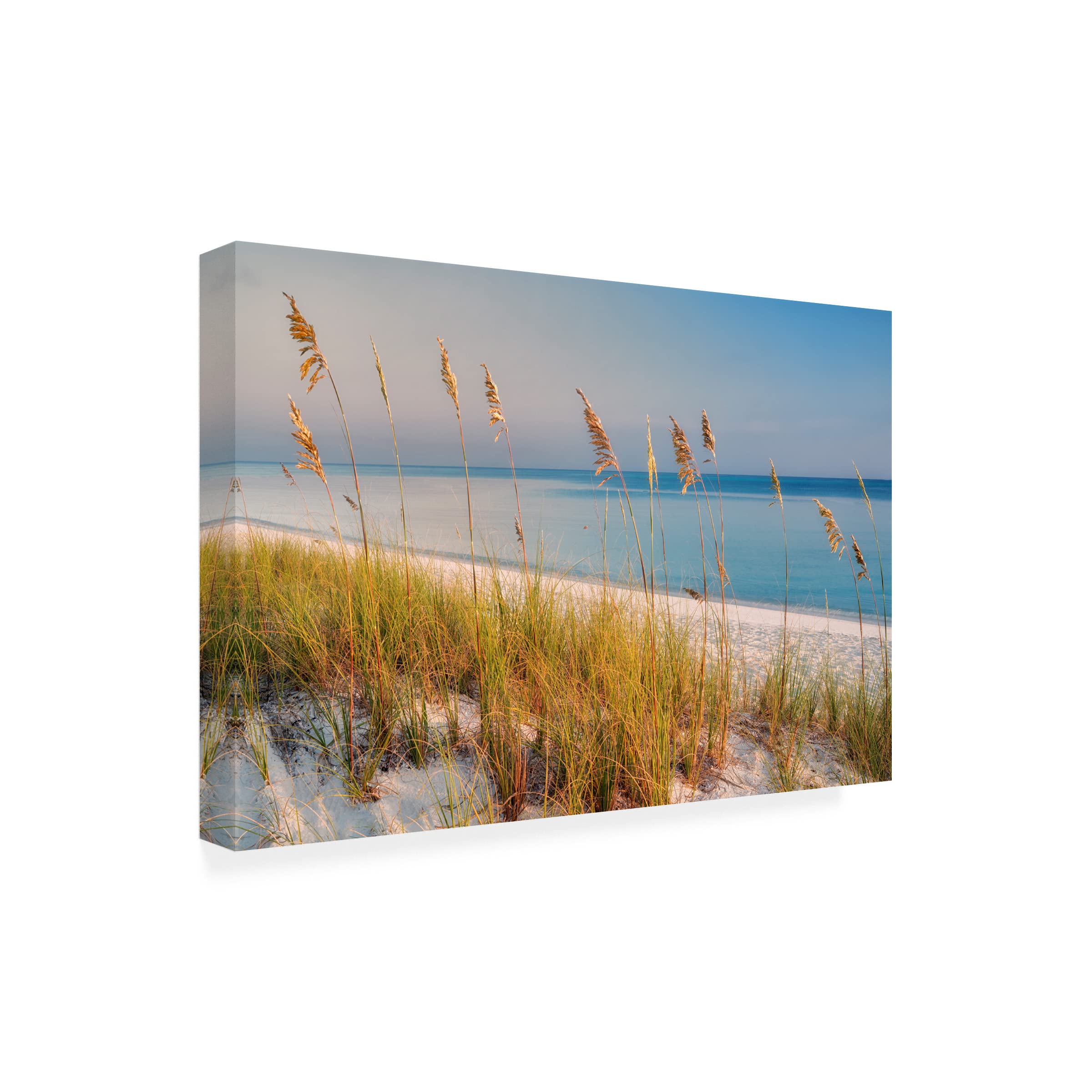 Dennis Frates 'Sea Oat Grass 1' Canvas Wall Art Print - Coastal Beach Decor for Living Room, Bedroom & Office | Trademark Fine Art Collection