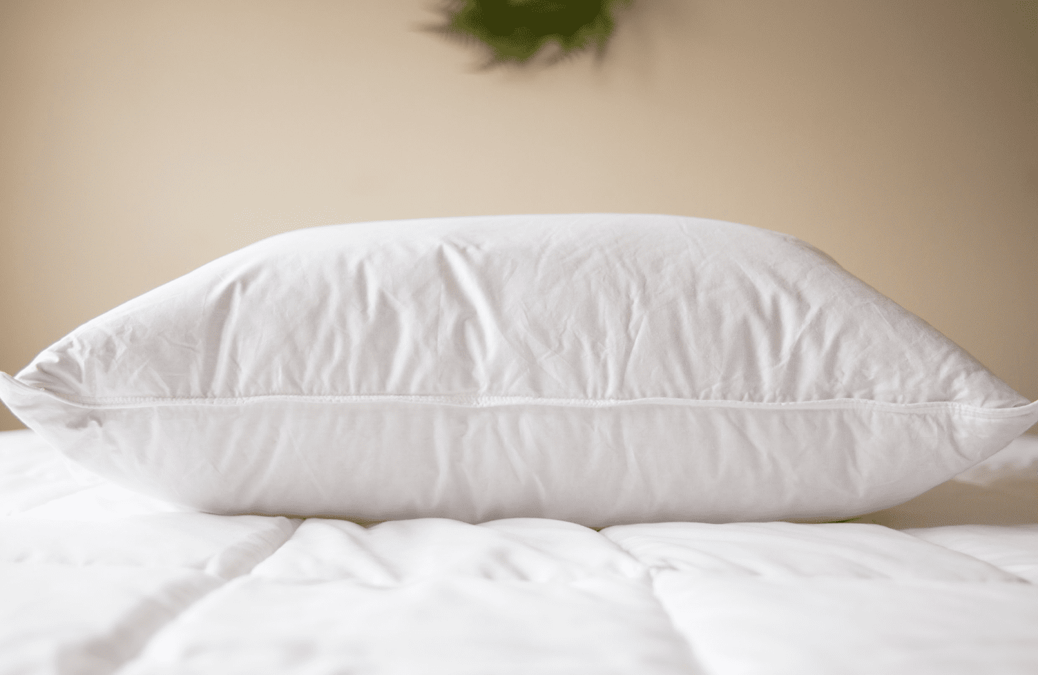 Premium Pillowtex Luxury Core Down and Feather Pillow - 25% Feather/75% Down Blend for Ultimate Comfort - Perfect for Side Sleepers, Back Pain Relief & Hotel-Style Bedding