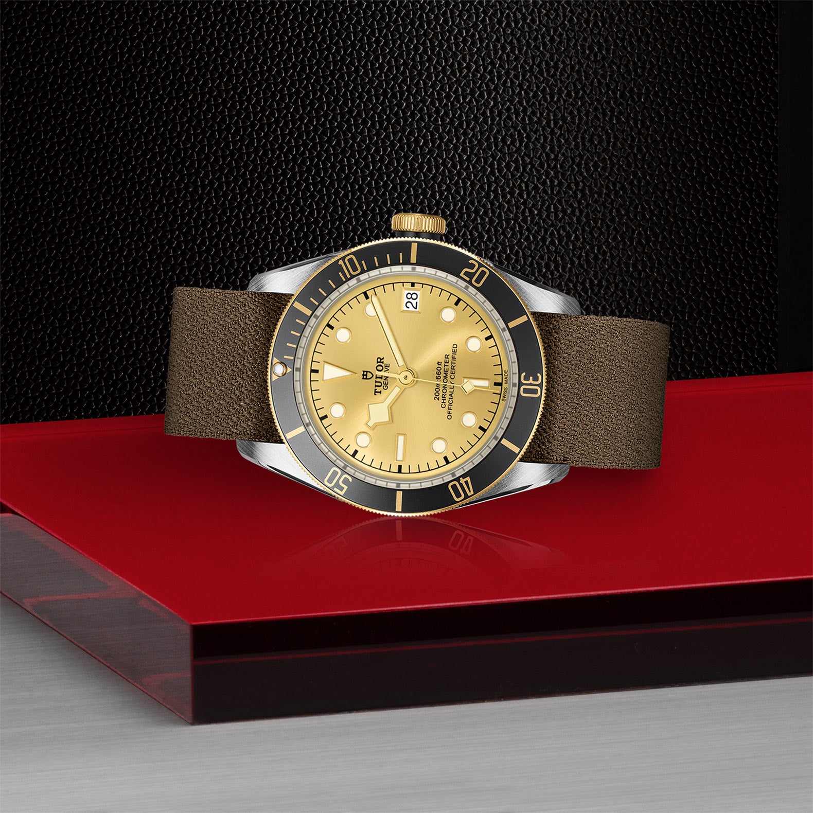 Men's Tudor Black Bay S&G M79733N-0006 Luxury Watch - Perfect for Business, Casual & Special Occasions