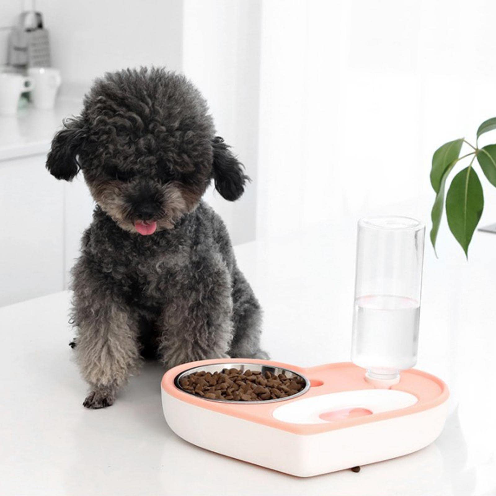 Automatic Pet Feeder and Water Dispenser for Cats & Dogs - SECRET DESIRE Blue Bowl Set | Perfect for Home, Travel, and Office Use