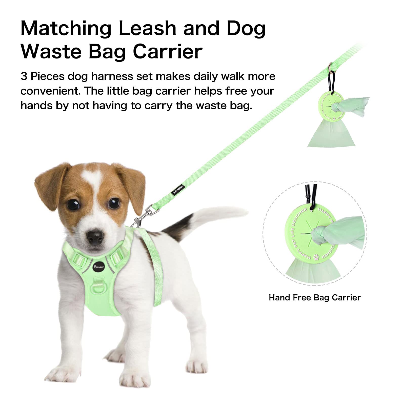 Petmolico Small Dog Harness - Cute Reflective Puppy Vest with 2 Leash Clips & Soft Handle for Easy Walking (Mint Green, Small) | Perfect for Daily Walks, Training & Outdoor Adventures