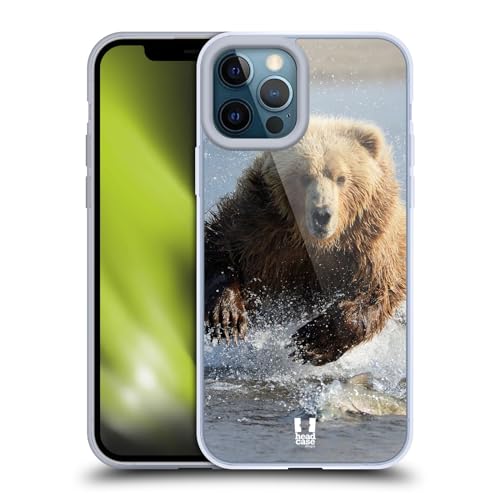 Grizzly Bear Jumping