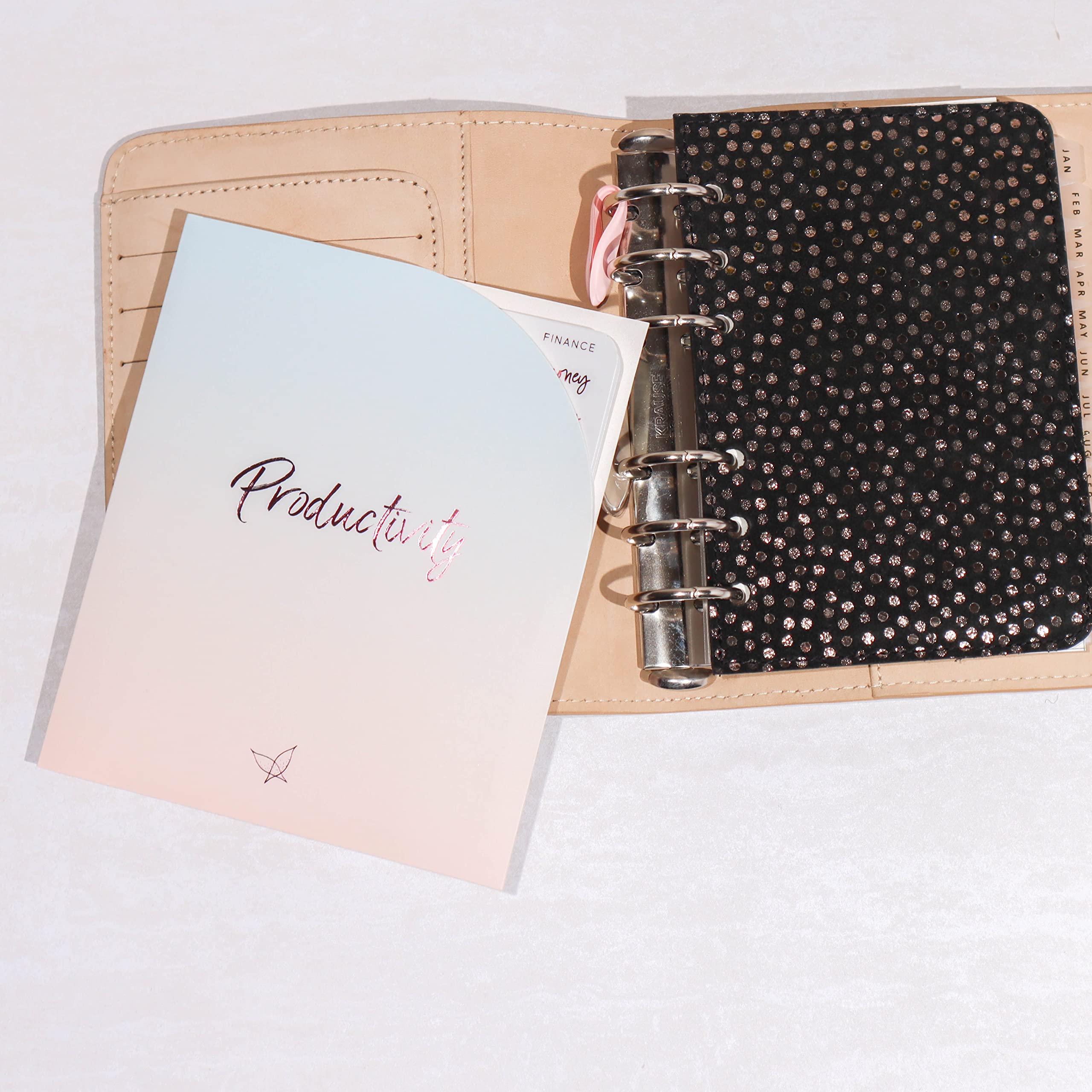 Clear Medium Pink Foil Planner Stickers Set - 600+ Productivity Stickers with Functional Icons & Words - Includes Storage Folder - Minimalist Cherry Soda Design - Perfect for Bullet Journals, Planners, Scrapbooks & DIY Projects