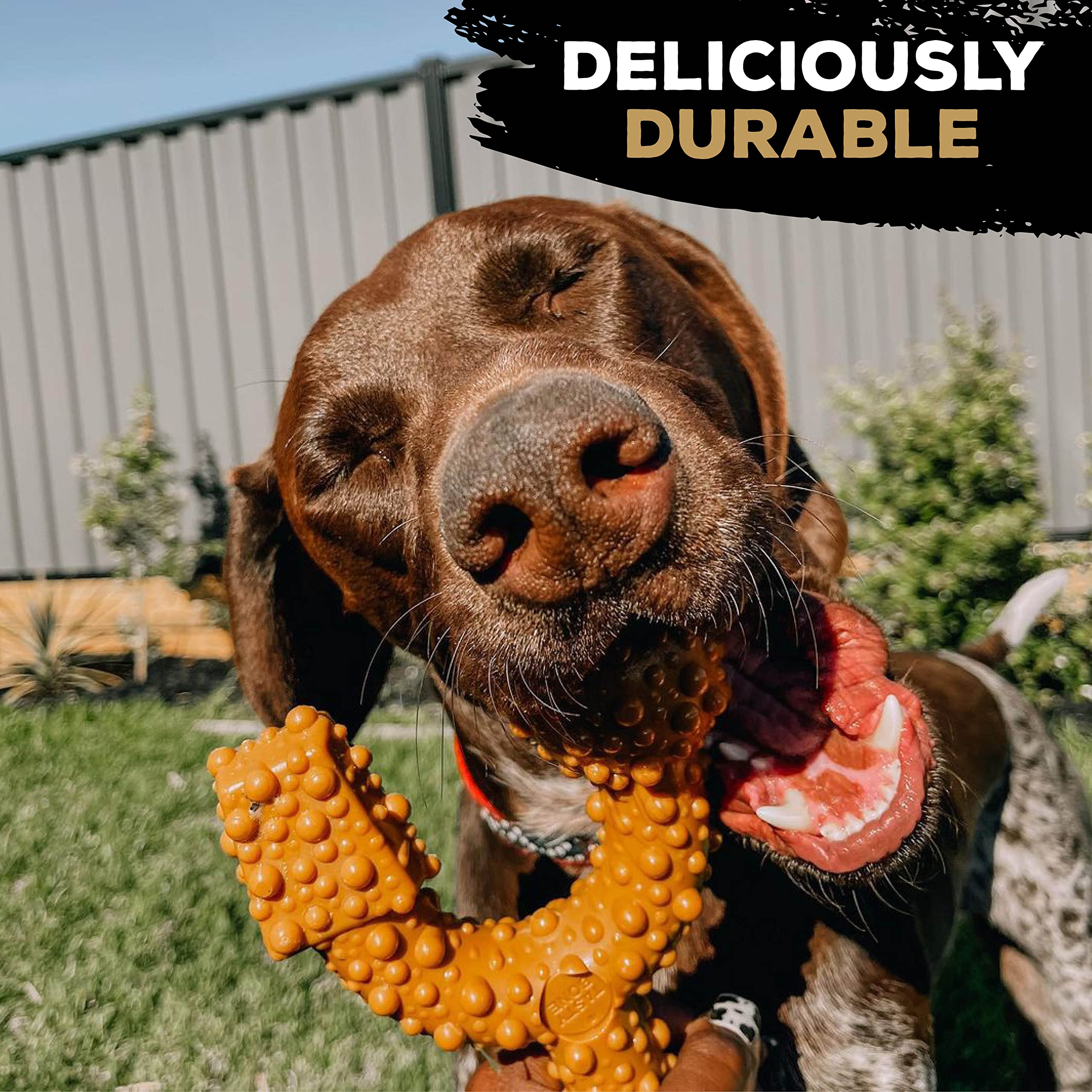 TrioBone Extra Tough Nylon Dog Chew Toy for Large Breeds - Peanut Butter Flavor, Long-Lasting Dental Chew to Promote Healthy Teeth & Gums - Triple Knot Design for Extended Playtime - Made in UK with 100% Virgin Nylon - Perfect for Aggressive Chewers, Teething Puppies & Boredom Relief