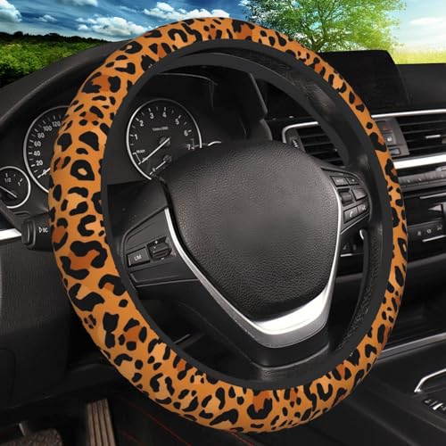 Animal Leopard