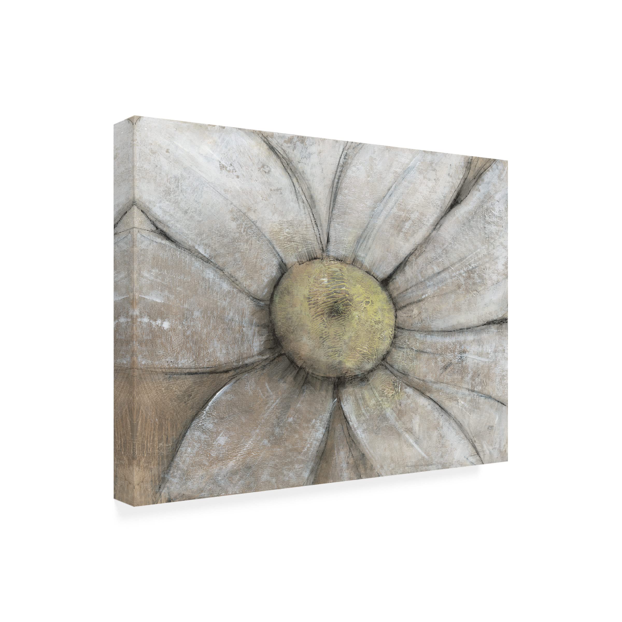 Tim O'Toole 'Close Up Daisy II' Floral Canvas Wall Art - Handmade Botanical Print for Living Room, Bedroom & Office Decor