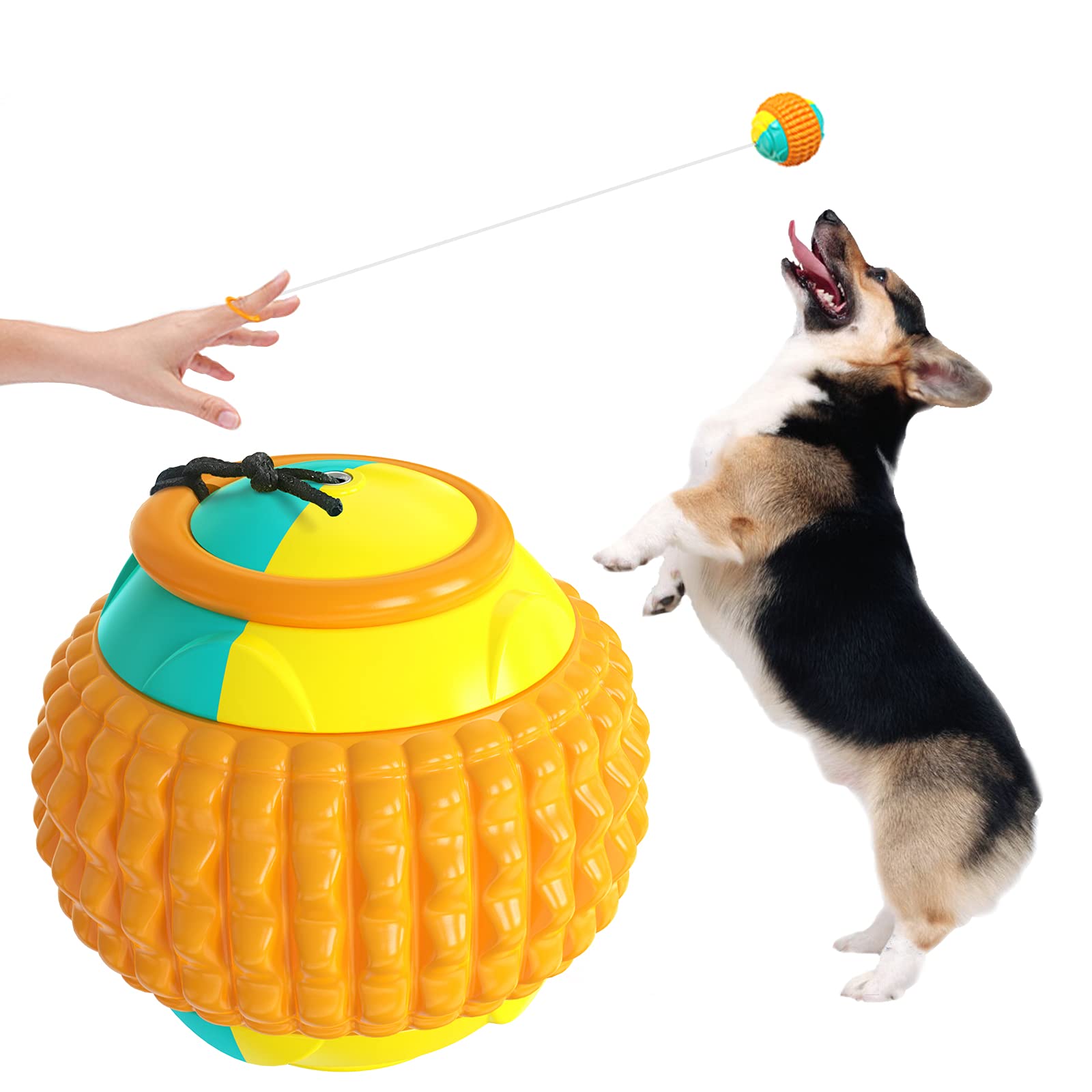 Durable Dog Chew Toys for Aggressive Chewers - Natural Rubber Puppy Teething & Teeth Cleaning Chew Toy - Interactive Brain Training Dog Toys for Small & Large Breeds - Perfect for Indoor Play, Outdoor Fetch & Dental Health