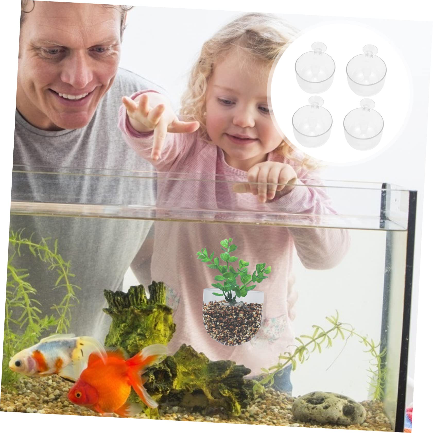 iPetboom 8-Piece Small Aquarium Plant Water Cup Set - Clear Acrylic Glass Aquatic Plant Holder for Fish Tank, Perfect for Aquascaping and Water Plant Support