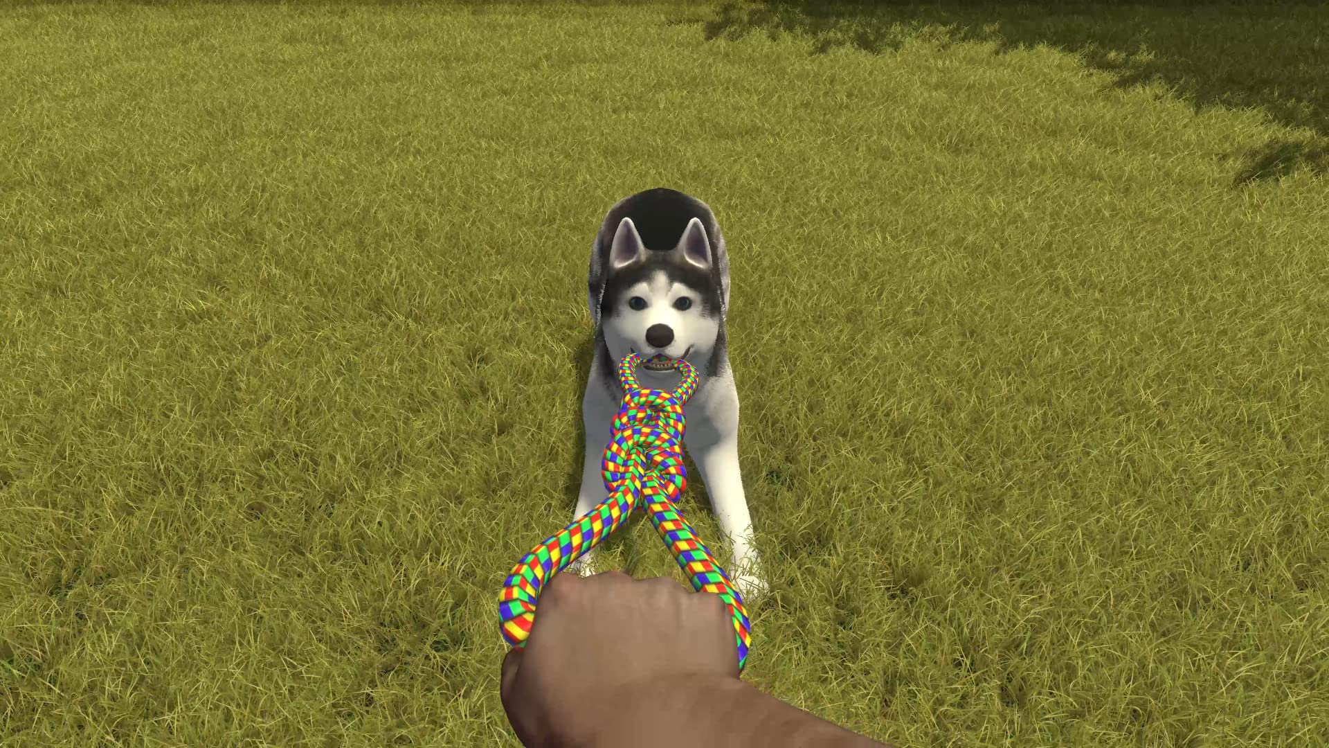 House Flipper: Pets Edition - PS4 Game | Home Renovation & Pet Care Simulation | Perfect for Animal Lovers & DIY Enthusiasts