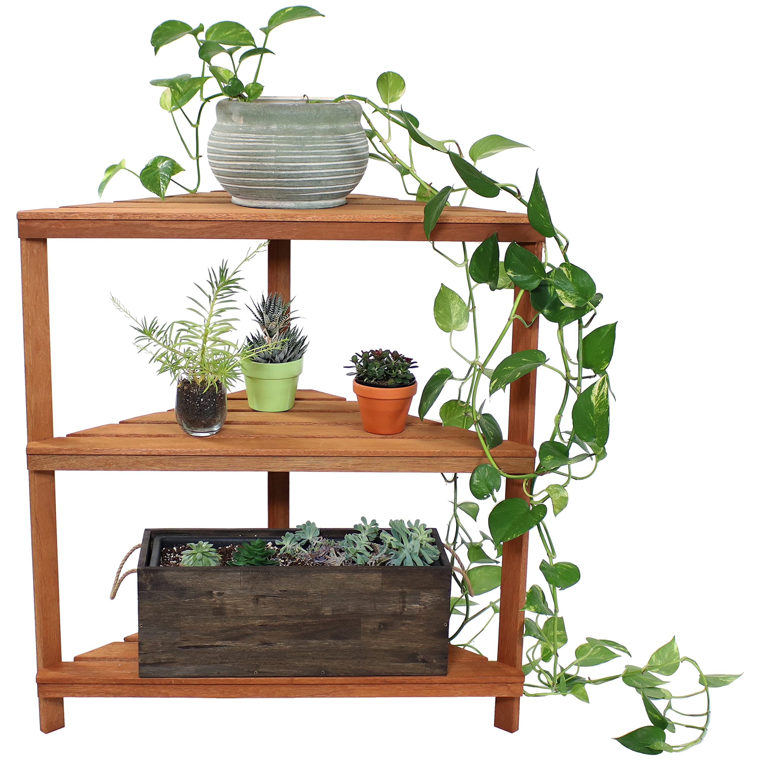 Premium Sunnydaze Meranti Wood 3-Tier Corner Plant Stand with Teak Oil Finish - Indoor/Outdoor Wooden Shelves for Potted Plants - 36-Inch Tall Planter Display for Patio, Garden, Living Room & Balcony Decor
