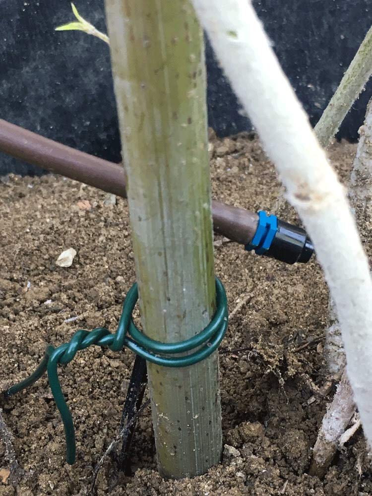 45M (147 Foot) Dark Green Coated Garden Wire - Flexible Plant Twist Tie for Vine Training, Tomato Support & Flower Staking - Perfect for Outdoor Gardening, Greenhouse Use & DIY Plant Projects